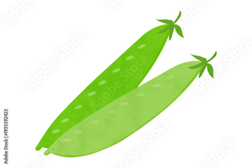 絹さやの手描き風イラスト