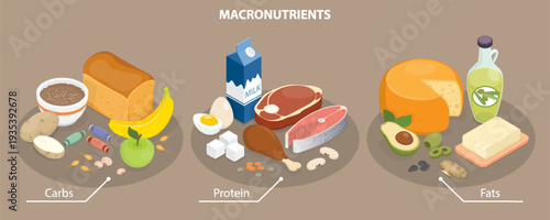 Macronutrients educational diet scheme with carbs, protein and fats outline. Food chart with product examples. 3d flat isometric vector illustration.