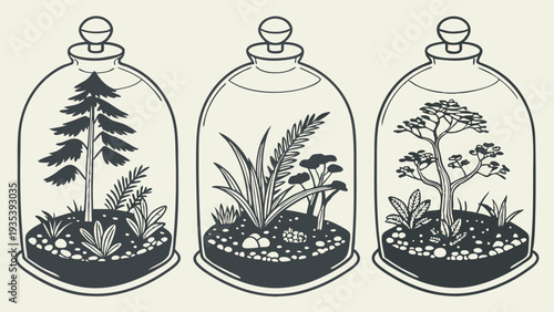 Three Glass Terrariums with Miniature Trees and Plants for Home Decor Website Design Eco Illustration