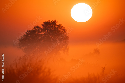Earth Day eco concept with ...