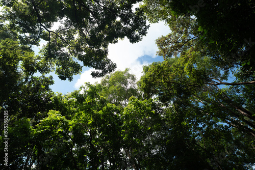 Earth Day eco concept with ...
