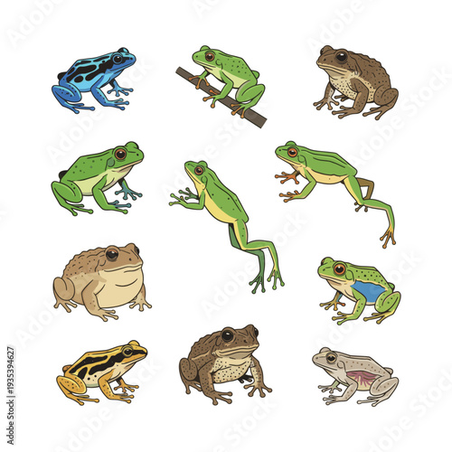 Collection of vibrant frogs and toads showcasing the diversity of amphibian species in nature