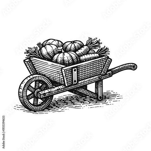 Vintage garden wheelbarrow engraving, hand drawn retro wooden cart with harvest vegetables sketch isolated