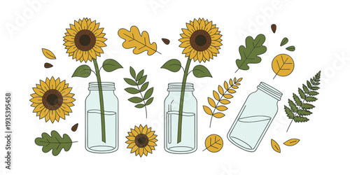Sunflowers arranged with various autumn leaves, seeds, and mason jars creating a fall botanical pattern on a white background