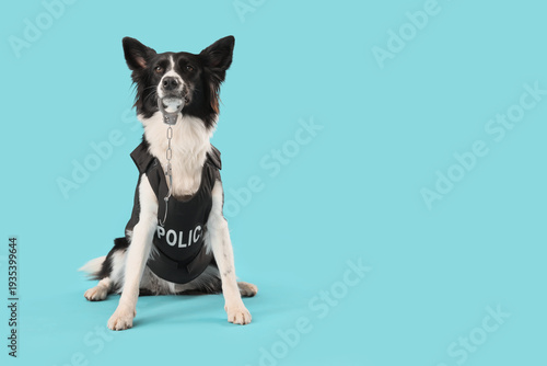 Cute police Border Collie d...