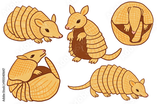 Armadillo set in childlike hand drawn wildlife illustration style