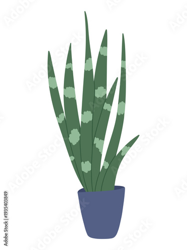 Sansevieria houseplant in pot isolated on white background. Sansevieria trifasciata indoor plant. Flat vector hand drawn illustration for home decor, interior design, web banners and prints