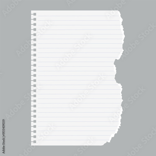 Torn striped notepad paper piece, white torn sheet of notebook fragment, vector realistic school page with ripped edges