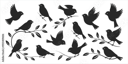 Silhouettes of Birds Perched and Flying on Branches on White Background vector illustration