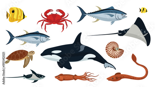 Collection of diverse sea life illustrations including an orca turtle manta ray crab and various species of fish on a plain white background.