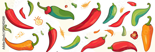 Colorful variety of red green orange chili peppers scattered with garlic and spice powder isolated on white background flat vector illustration of spicy vegetables and seasoning ingredients