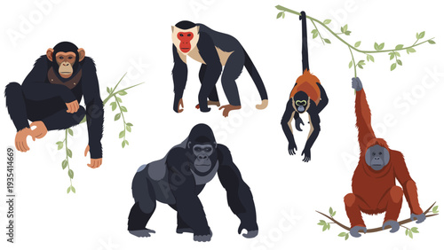Collection of various monkeys and apes including a gorilla, orangutan, and chimpanzee in natural standing poses.