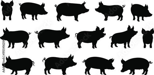 Fifteen Black Silhouette Pig Icons Showing Different Poses And Angles swine animal