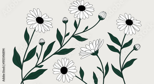 Daisies and buds illustration, a delicate floral arrangement on a neutral background, perfect for nature-inspired designs