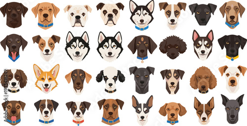 Dog breed head icons set, flat vector illustration of various puppies, husky, lab, bulldog, corgi, retriever, poodle, terrier, pet shop collection, isolated.