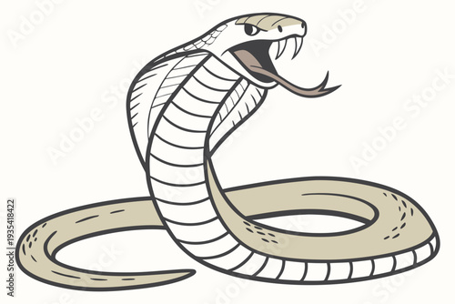 snake on a white background