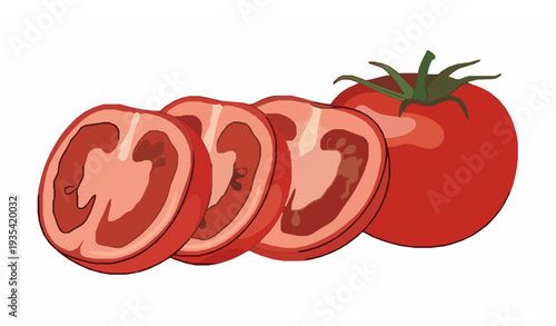 Sliced Tomato Cross Section Food Illustration Ripe Tomato Fruit Vector Set