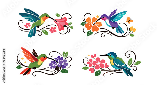 Hummingbirds collecting nectar from vibrant blossoms, presented as a decorative and beautiful nature illustration on a white background