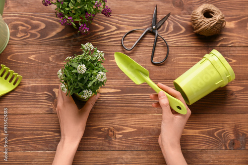 Female hands holding garden...