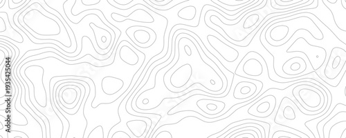 Abstract white background showing elevation and topography with many contour lines, seamless pattern design