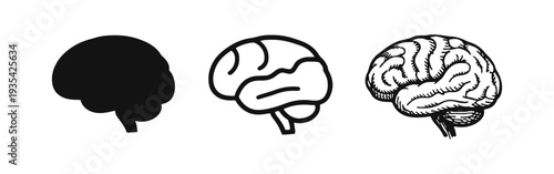 Human Brain Icon Set - Thinking, Intelligence, Education, and Neuroscience Symbol