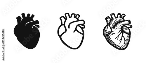Human Anatomical Heart Icon Set - Health, Medicine, Love, and Cardiology Symbol