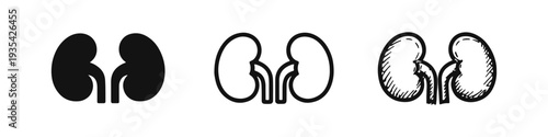 Human Kidneys Hand Drawn Doodle Icon Set. Excretory System Organs Design.