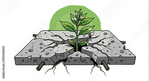 Growth Concept: Sprout Growing Through Cracked Concrete - Hope and Resilience, Metaphorical Image Symbolizing New Beginnings and Overcoming Obstacles, isolated on transparent background.