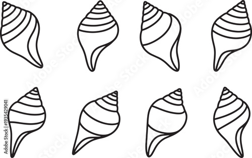 Eight Seashell Line Art Beach and Ocean Theme