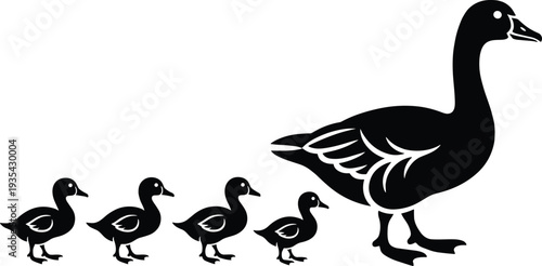 Mother duck and ducklings silhouette walking in line, cute family animal vector illustration isolated on white background for nature and wildlife design
