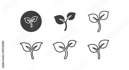 Collection of stylized vector graphic icons depicting the simple germination and growth stages of a young plant sprout