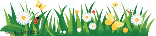Spring grass border vector illustration, green meadow with daisies butterflies and ladybug isolated on white background design