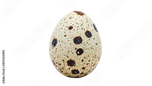 Photos Isolated quail egg with brown speckled shell for food preparation ingredient pro
