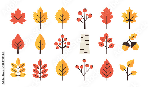Collection of vibrant autumn leaves, berries, and acorns perfect for seasonal greetings, harvest festival decor, educational projects, or any fall themed graphic presentation