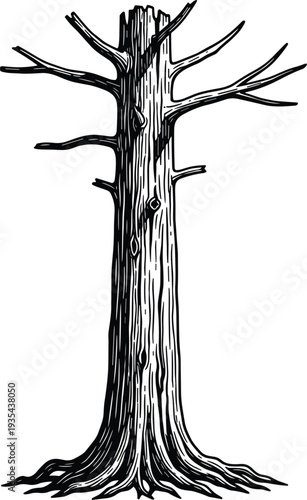 Dead barren tree silhouette vector illustration, stark twisted trunk with bare branches and roots for Halloween horror gothic tattoo nature decay designs