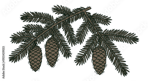 Detailed illustration of evergreen spruce tree branches adorned with mature pine cones, perfect for winter holiday greeting cards, naturethemed decorations, or festive seasonal marketing