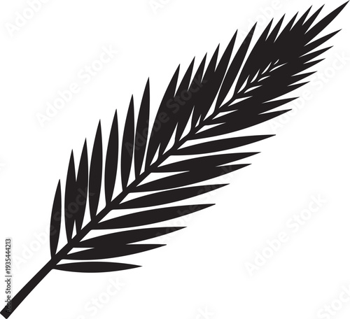 Black Silhouette of a Single Palm Leaf on White