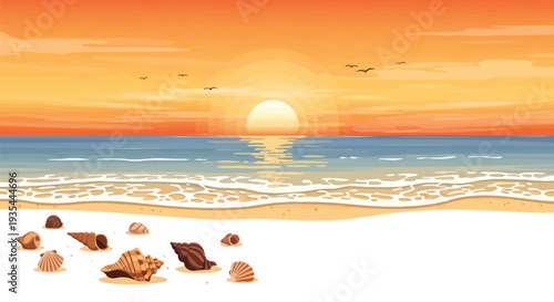 Vector beach background with sunset and seashells