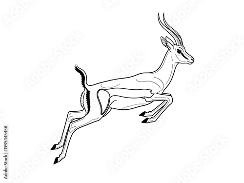 A leaping antelope with impressive horns and agile legs in mid air