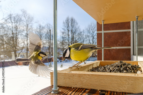 Two great tits interacting at a wooden bird feeder with sunflower seeds on a sunny winter day.
