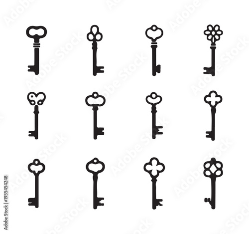 Array of black and white vintage keys antique ornamental designs for opening forgotten boxes