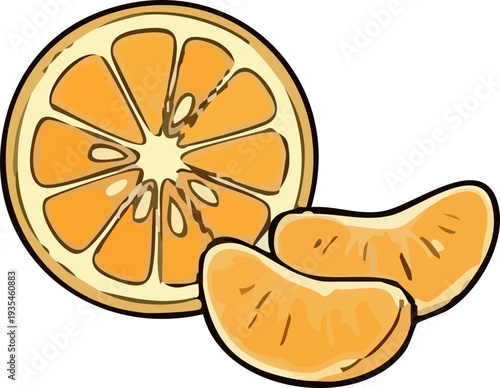 vector illustration of an orange mandarin
