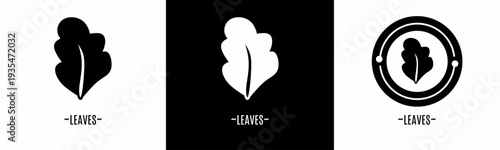 Leaf logo set. Collection of black and white logos. Stock vector.