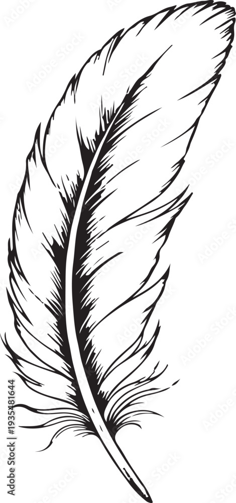 Obraz premium Detailed Ink Hand-Drawn Bird Feather