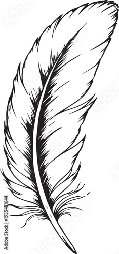 Detailed Ink Hand-Drawn Bird Feather