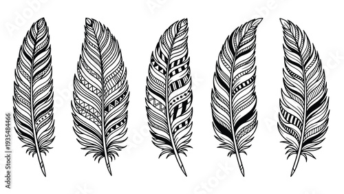 Collection of five detailed bohemian feathers showcases intricate hand drawn patterns and geometric designs in a classic monochrome style.
