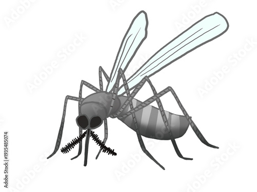Foto Illustration of a blood-sucking mosquito