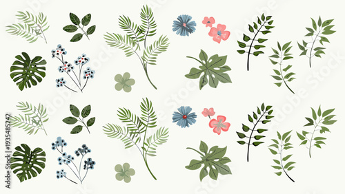 Botanical illustration featuring various leaves flowers and sprigs