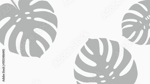 Minimalist composition featuring large grey monstera leaf silhouettes arranged on a white background for modern interior design aesthetics.