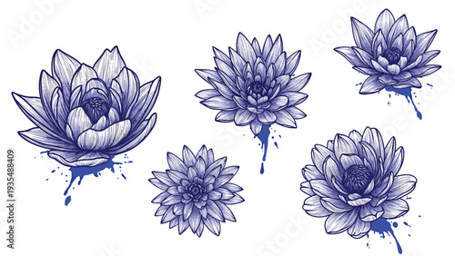 Set of hand drawn water lily flowers with artistic blue ink splashes on a white background for creative design.